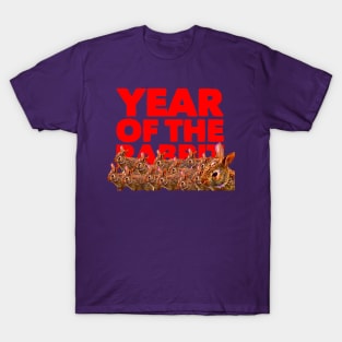 Year Of The Rabbit T-Shirt